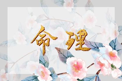 老皇历|择吉老黄历皇历|老皇历查询